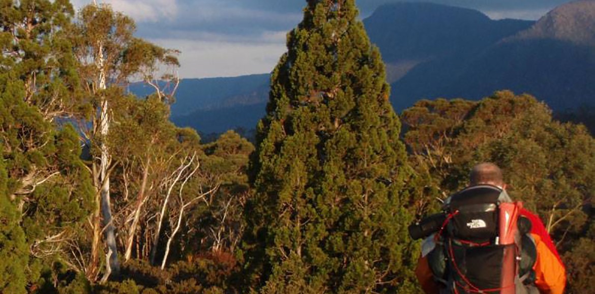 The Overland Track Walk Tasmania Wilderness Expeditions Wilderness
